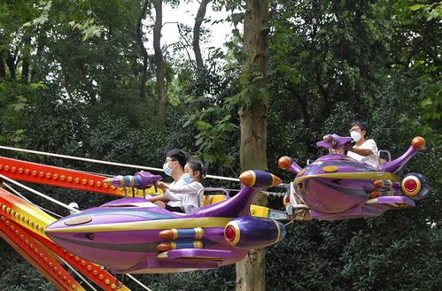 武汉全域降为低风险地区，中山公园游乐场恢复开放，软件开发行业迎来新机遇