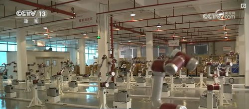 我国机器人领域基础研发能力提升 创新产品在多领域加速落地